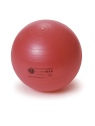 Securemax Exercise Ball Sissel